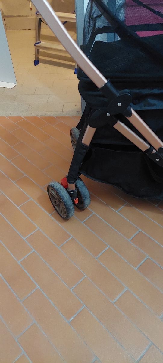 Passeggino per cani nero e oro