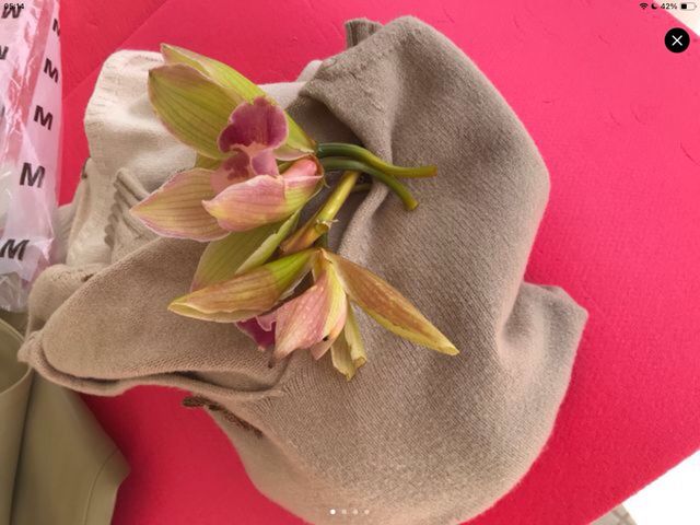 Set 2 Maglie Donna Beige e Rosa