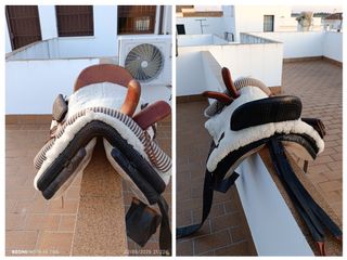 Guarnición de caballo