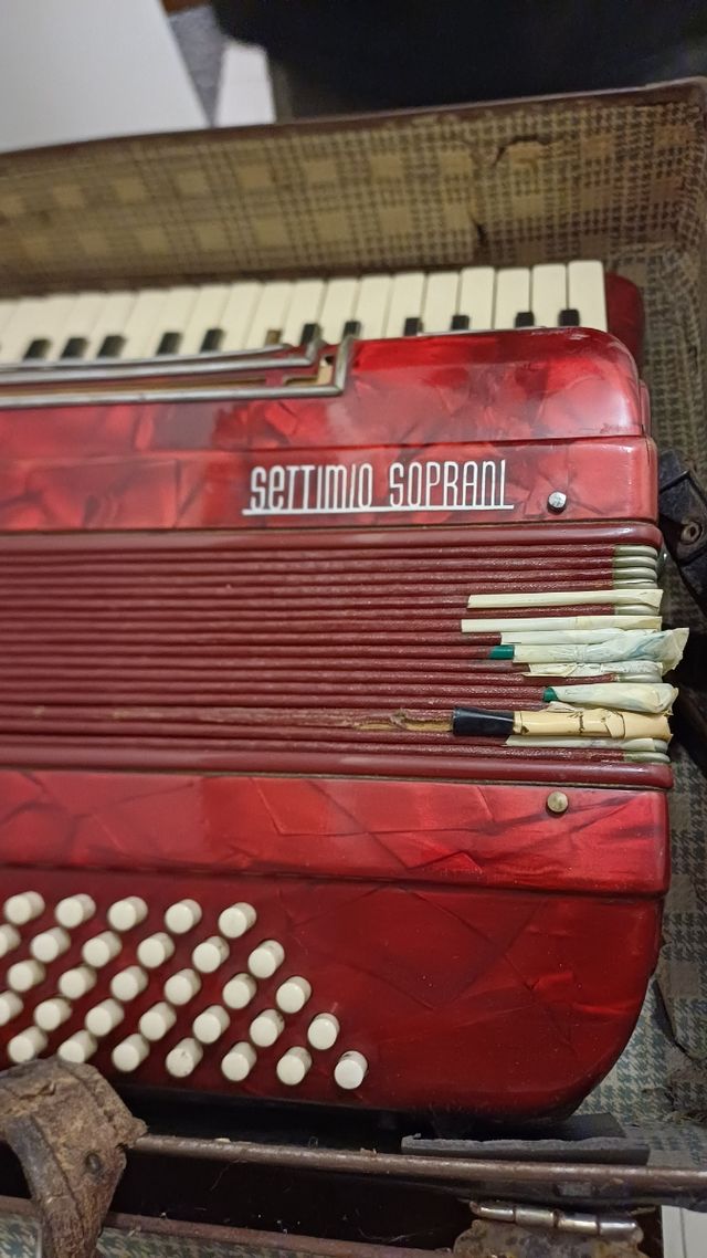Fisarmonica rossa con custodia