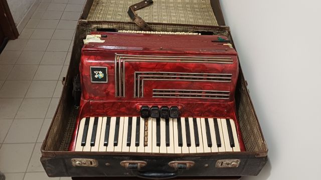 Fisarmonica rossa con custodia