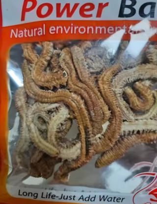 Cebo seco para pesca.