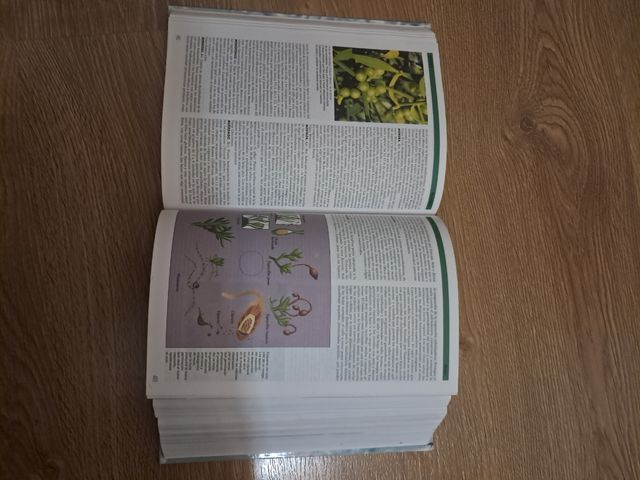 Enciclopedia Estudiantil (ROOZ)