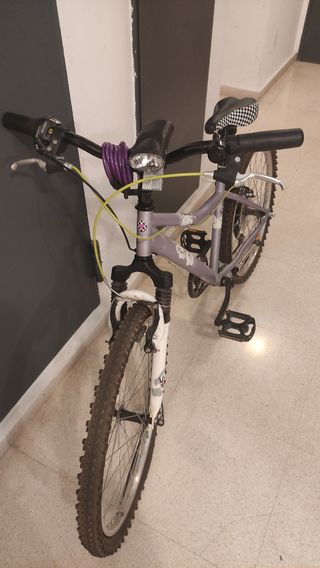Bicicleta infantil morada