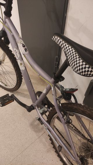 Bicicleta infantil morada