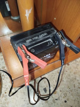 Batería Yuasa YTX14-BS 12V 12Ah