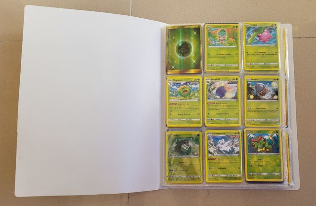 Álbum de Cartas Pokémon Normales