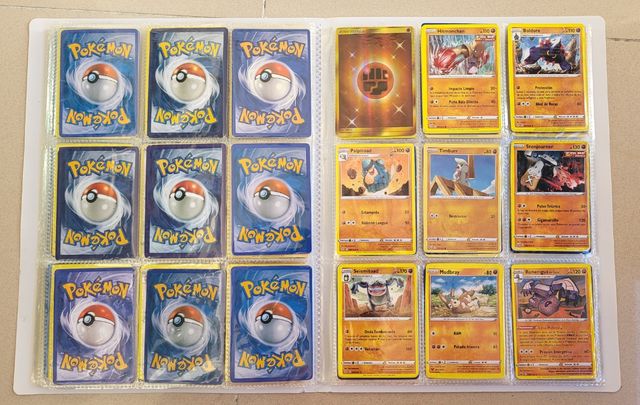 Álbum de Cartas Pokémon Normales