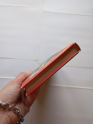 Lote dos libros Manuales Disney