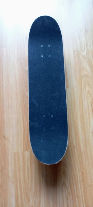 Skateboarding Shinfirst Snake