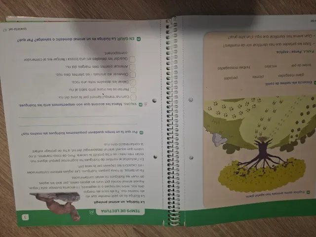 CONEIXEMENT DEL MEDI NATURA 2 PRIMARIA SABER FER