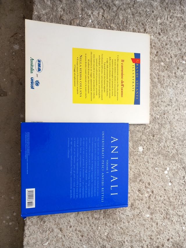 Enciclopedia Animali +Il cammino dell'uomo