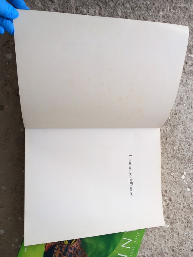 Enciclopedia Animali +Il cammino dell'uomo