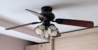 Lámpara Ventilador de Techo Madera y Cristal