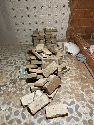 Ladrillo macizo antiguo 100 ud.