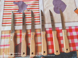 Ceppo in legno con 6 coltelli Tramontina