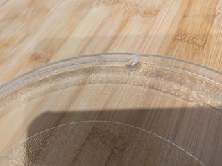 Plato giratorio para microondas