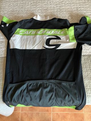 Maillot Cannondale manga corta