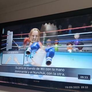 Nintendo Wii