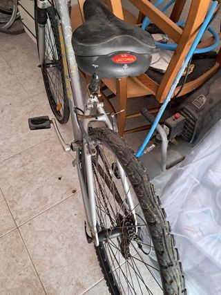 Bicicleta Proflex plateada necesita  pequeña puest