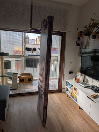 Biombo Decorativo 3 Paneles Tigre & Leon