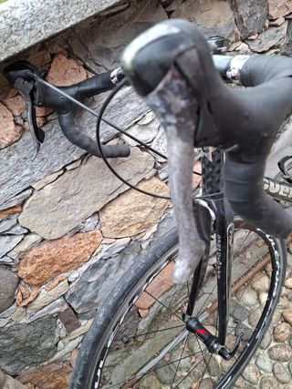 Bicicletta da corsa in Carbonio con Ruote Fulcrum