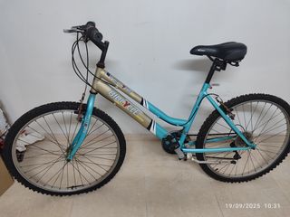 Bicicleta de Montaña Azul