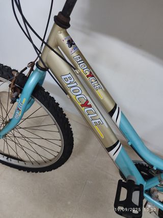 Bicicleta de Montaña Azul
