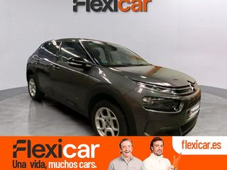 Citroën C4 Cactus PureTech 110 S&S Feel