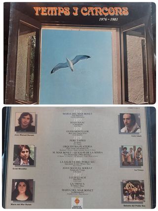 Vinilos en Catalán y Español