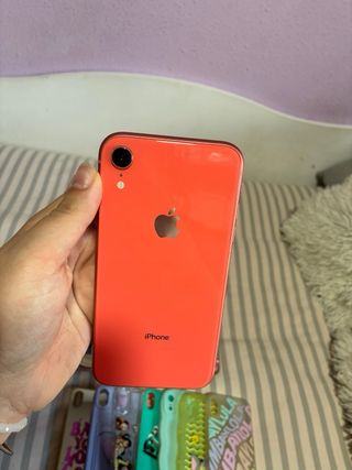 Custodie regalo per iPhone XR Coral +