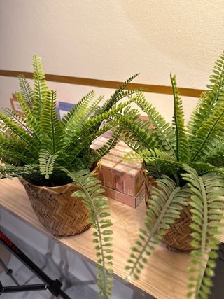 Maceteros de mimbre con plantas verdes