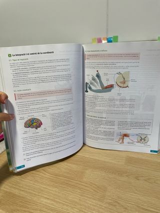 Biología, Geología i Coneixement del Medi. 1 Ba...