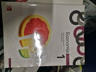 Libro 1 bachillerato economia Mc graw hill