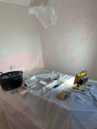 Pintor profesional de viviendas Fortuna (Murcia)