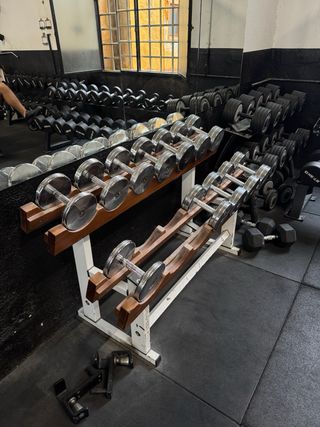 Mancuernas 10-22kg + Mancuernero salter