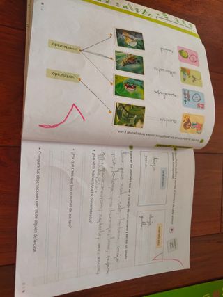 Libro naturales segundo primaria edelvives patas
