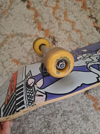 Skate Board 