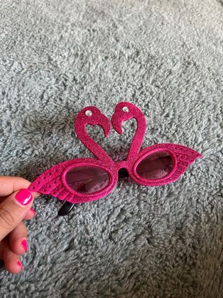 Gafas de sol divertidas de flamencos