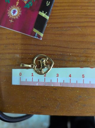 Colgante Corazón Perro Oro