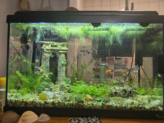 Acuario Pecera 30L en excelente estado