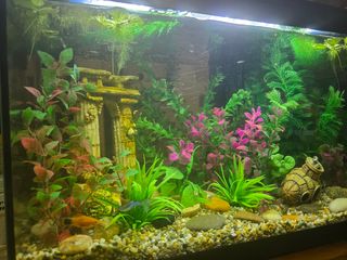 Acuario Pecera 30L en excelente estado