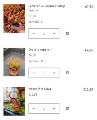 Pack plantas carnívoras Caterina