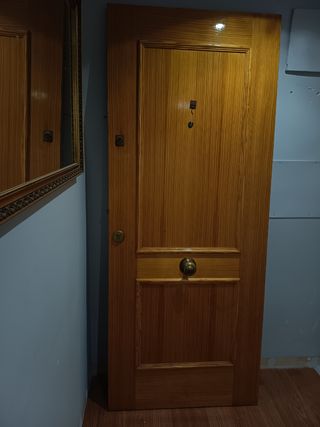 Hoja de puerta de entrada apertura derecha