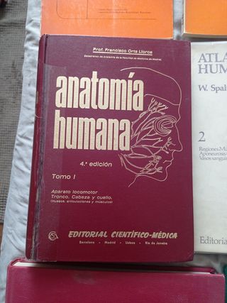 Anatomia y otros