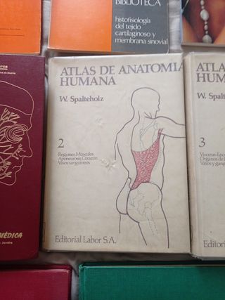Anatomia y otros