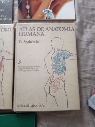 Anatomia y otros