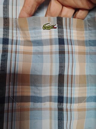 Camisa Lacoste a cuadros