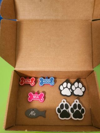 3 Llaveros de Huella y Hueso para Mascotas