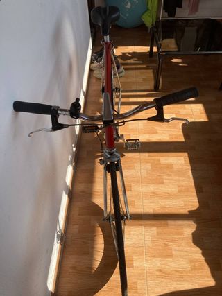 Bicicleta Fixie Single Speed Talla L (58cm)